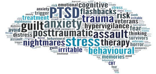 post-traumatic-stress-disorderbrain.jpg
